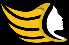 Merthyr Tydfil County Borough Council